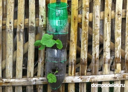 Вертикальная грядка из пластиковых бутылок для дачи или балкона