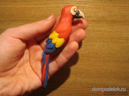 Попугай ара лепка из пластилина