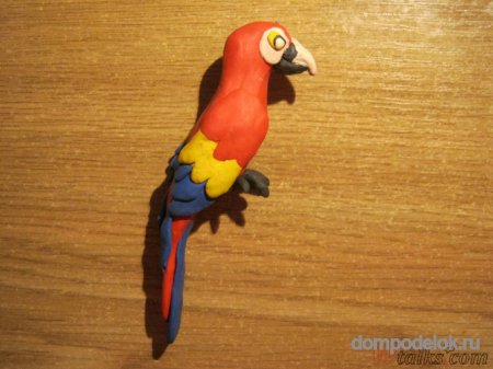 Попугай ара лепка из пластилина
